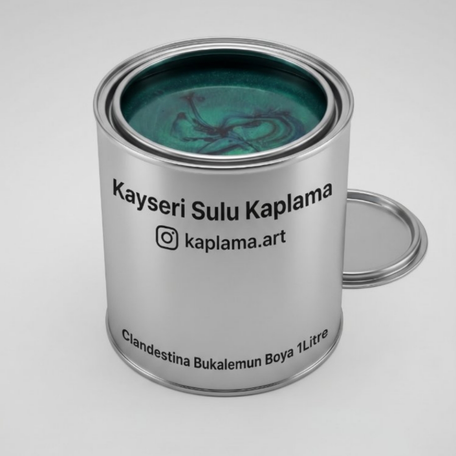 Clandestina Bukalemun Boya 1 Litre